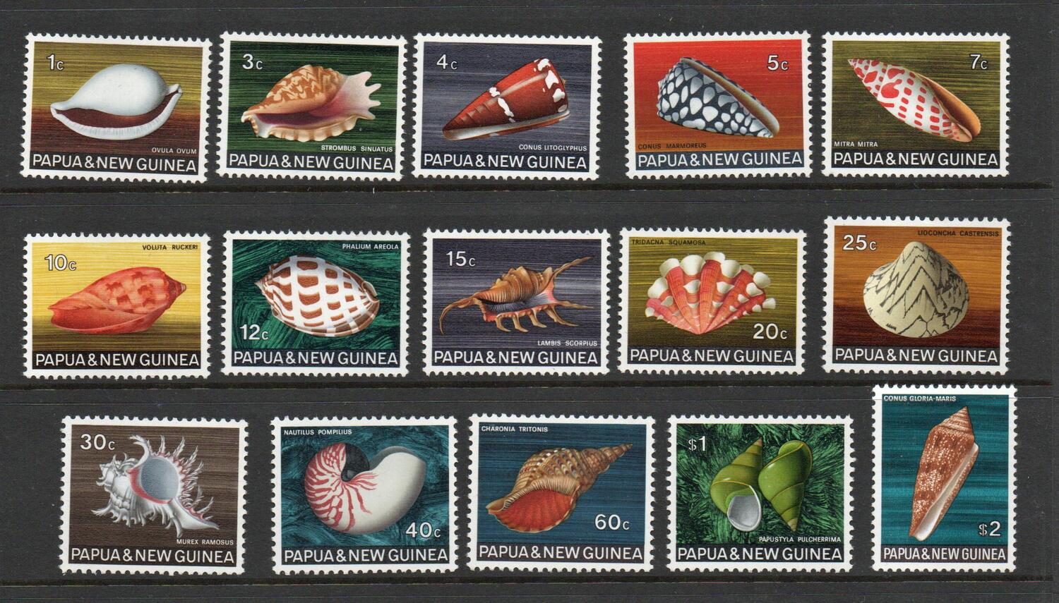 PAPUA NEW GUINEA SG 137-51 1968 SHELLS MNH