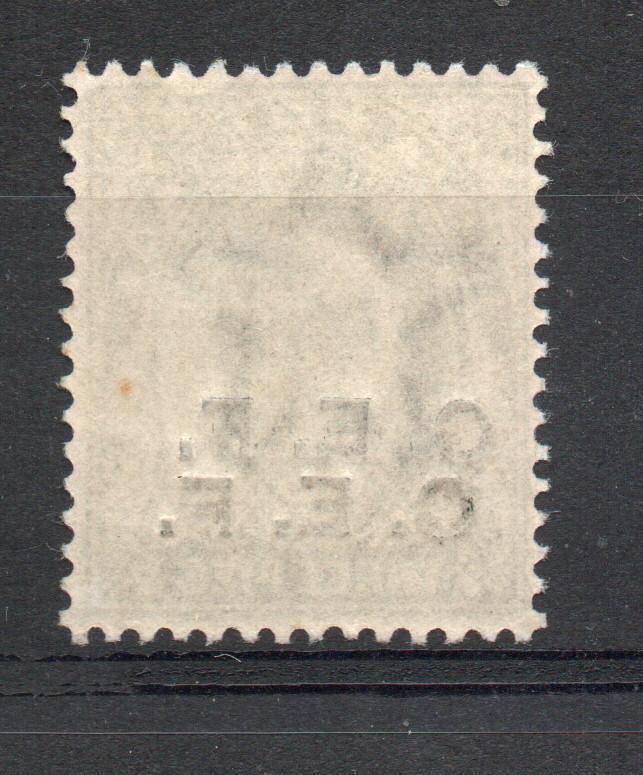 INDIA SG 12a CHINESE EXPEDITIONARY FORCE DOUBLE OVERPRINT ONE ALBINO MNH