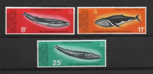 BRITISH ANTARCTIC TERRITORY SG 79-82 WHALE CONSERVATION SET MNH 